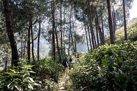 The trek to Shoghi Fort